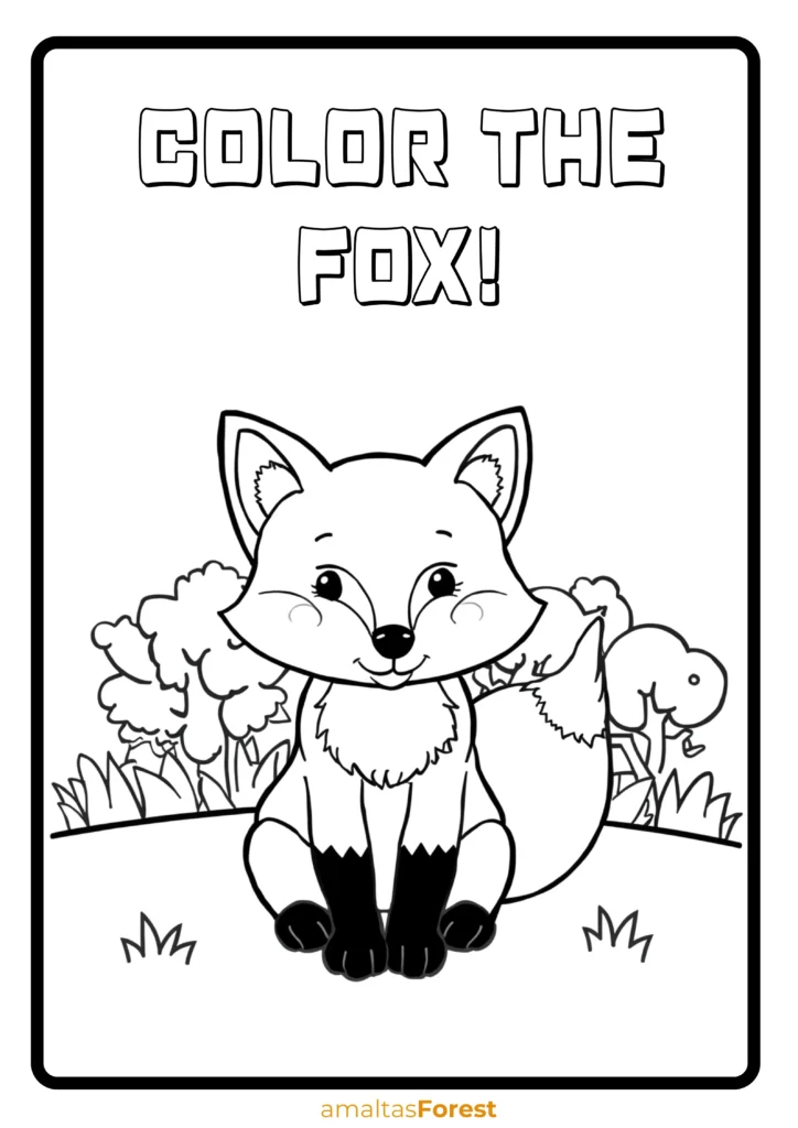 carnivorous animals fox drawing