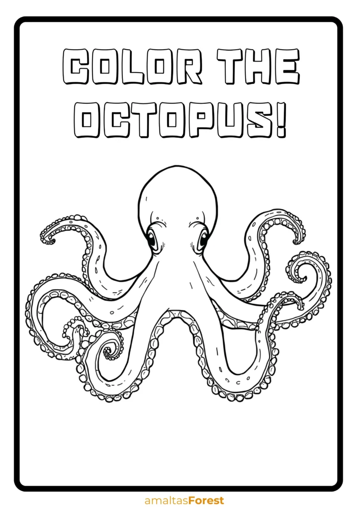 carnivorous fish and marine animals octopus drawing