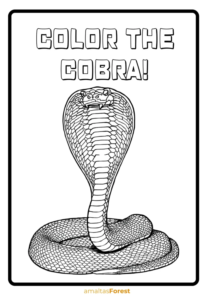 carnivorous reptiles cobra drawing