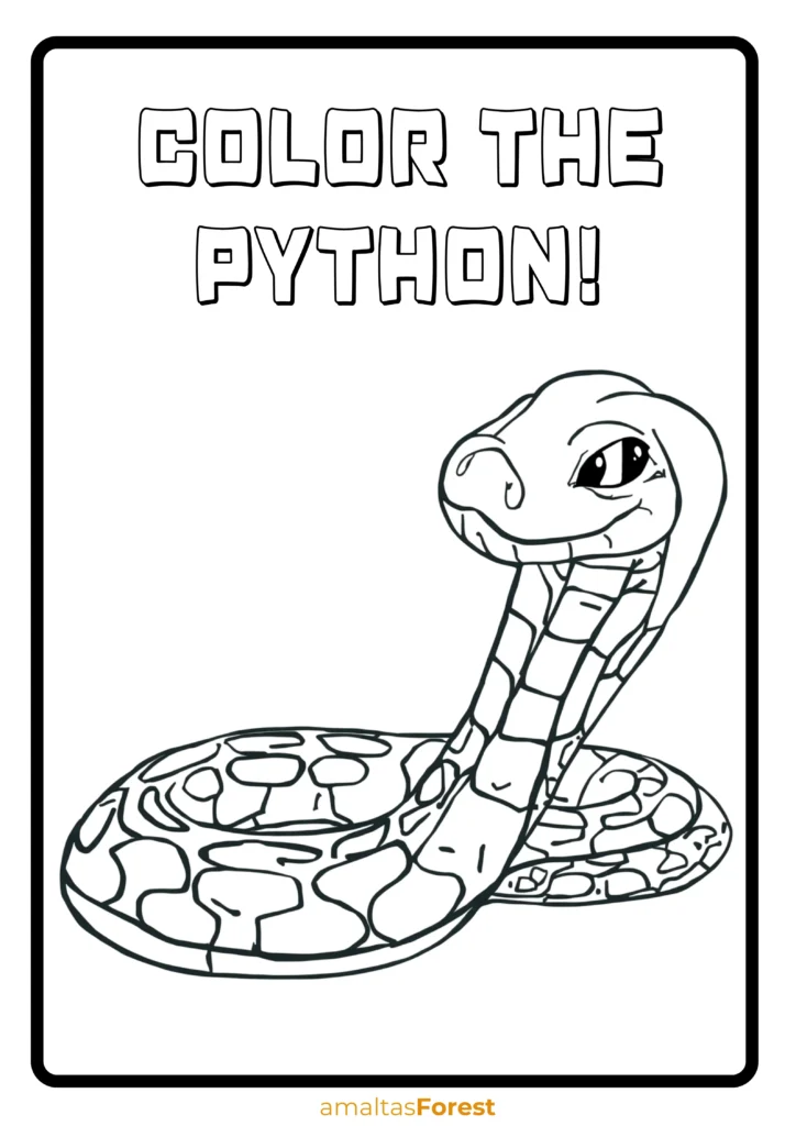 carnivorous reptiles python drawing