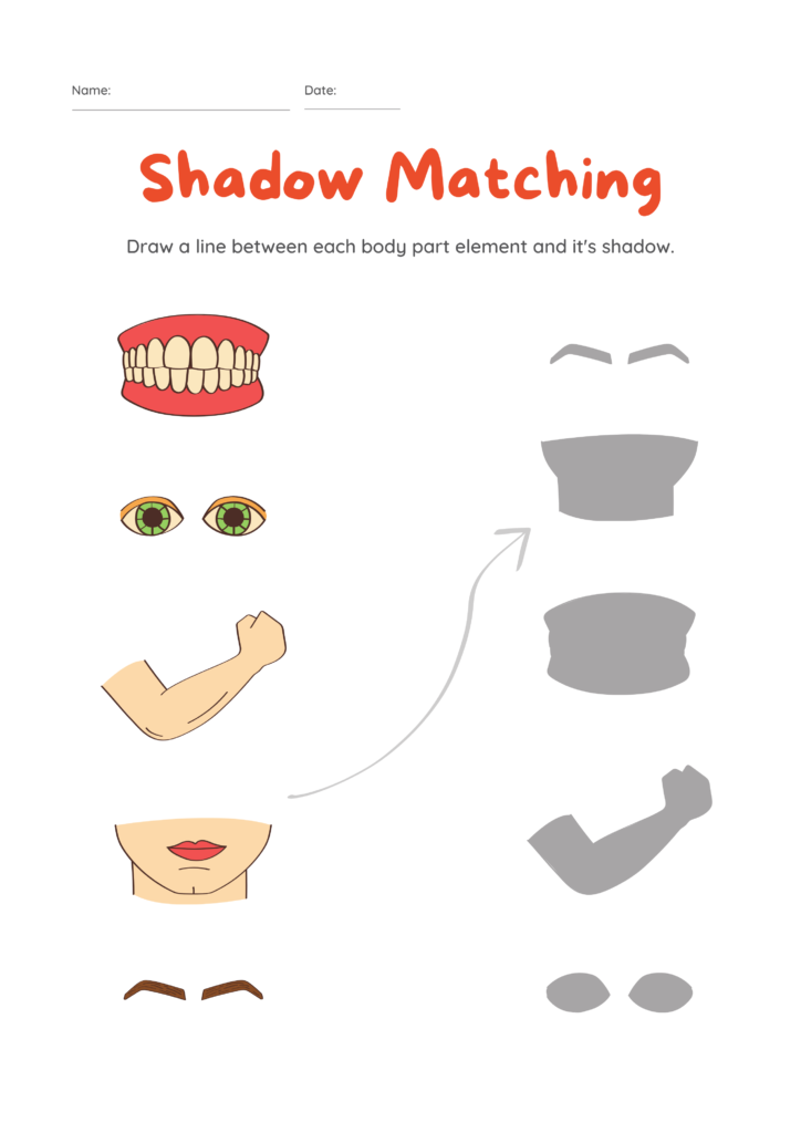 human body parts pictures with names