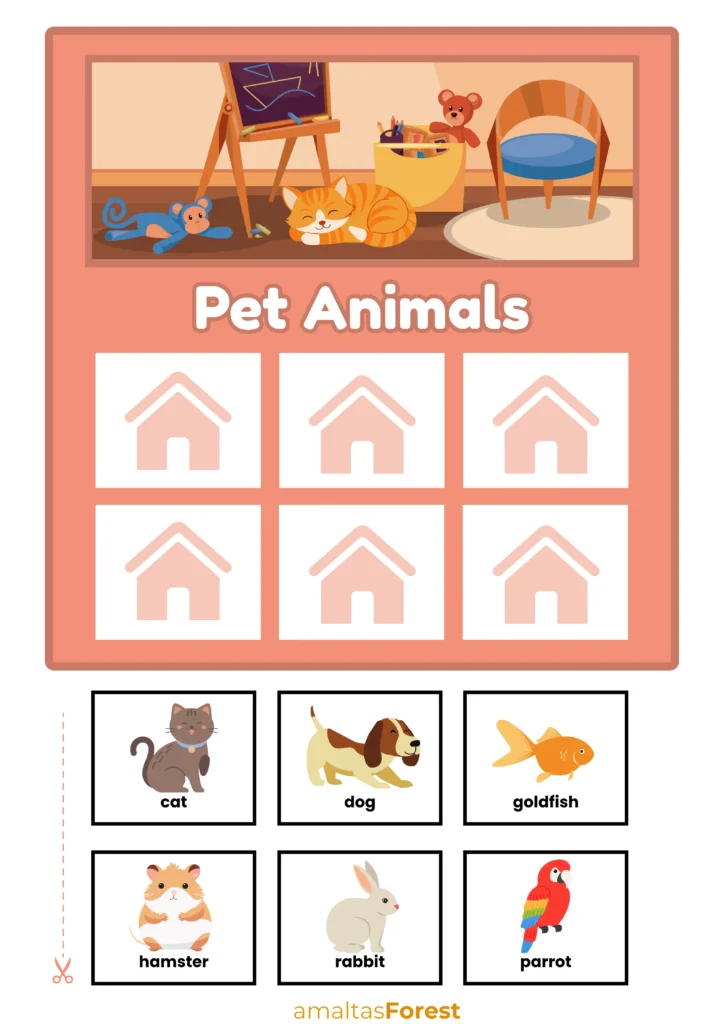 pet animals sorting chart