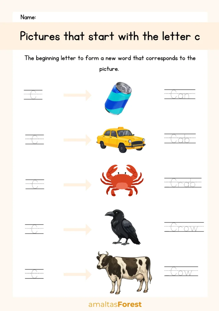 pictures that start with the letter c