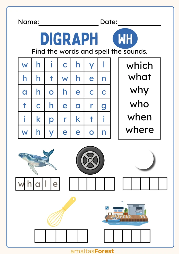 question words worksheet