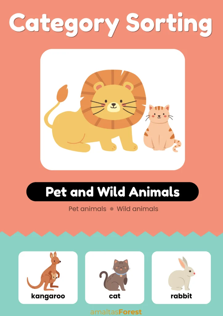 sorting pets and wild animals