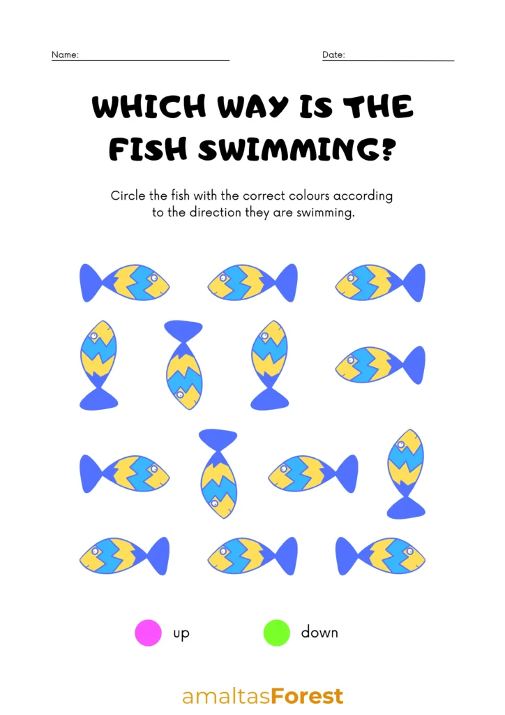up and down activity sheet for preschool