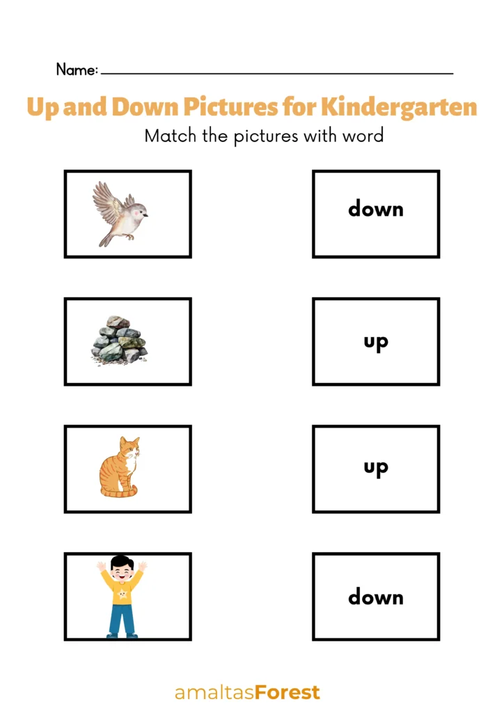 up and down pictures for kindergarten
