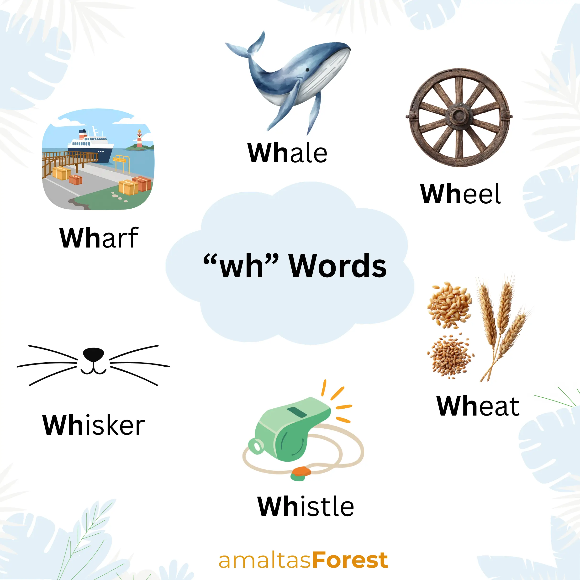 WH Words for Kindergarten with Pictures & Worksheets