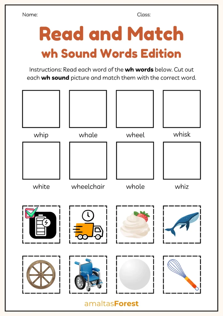 wh words for kindergarten