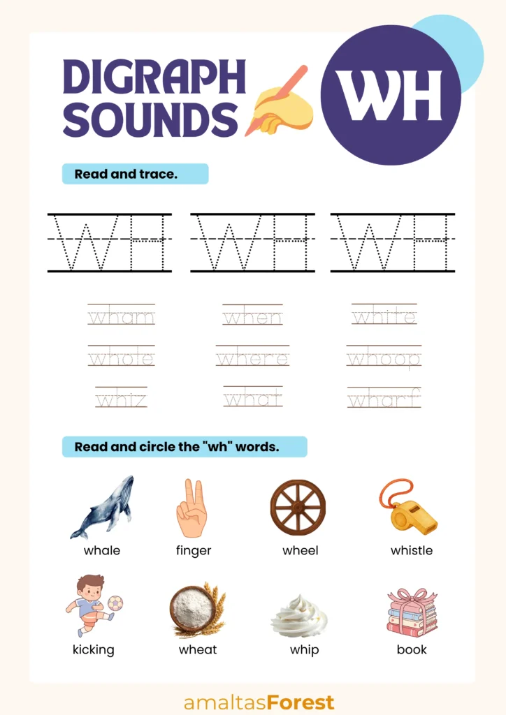 wh words worksheet