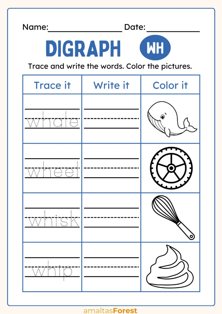 wh words worksheet for kindergarten